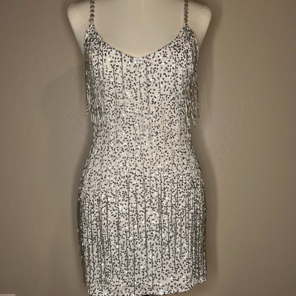 The Sparks Fly Mini Dress | Silver Beaded Fringe | Show Me Your Mumu - Picture 12 of 16